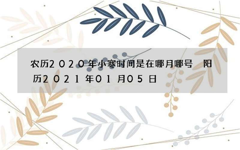 农历2020年小寒时间是在哪月哪号 阳历2021年01月05日